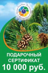 Подарочный сертификат ( Номинал 10000 руб )